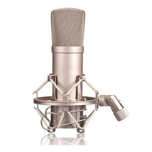 MICROFONO DA STUDIO PROFESSIONALE CONDENSATORE YOUTUBER + RAGNO REGALO