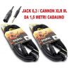 COPPIA CAVI JACK 6,3 MONO + CANNON XLR M. casse-mixer ART. CP176632 - 1