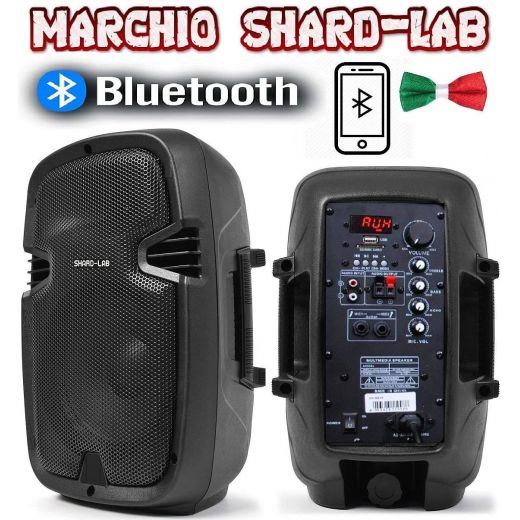 COPPIA CASSE AMPLIFICATE ATTIVE 600W 8" BLUETOOTH RADIO USB TROLLEY karaoke SHARD-LAB