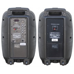 COPPIA CASSE ACUSTICHE AMPLIFICATE ATTIVE 900W 10" BLUETOOTH + 2 SATIVI 180 CM karaoke
