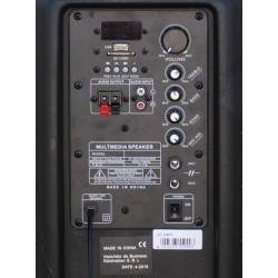 COPPIA CASSE AMPLIFICATE ATTIVE 900W 10" BLUETOOTH RADIO USB TROLLEY karaoke - 7