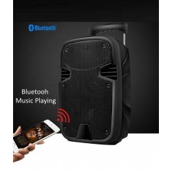 COPPIA CASSE AMPLIFICATE ATTIVE 900W 10" BLUETOOTH RADIO USB TROLLEY karaoke - 9