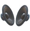 COPPIA WOOFER ALTOPARLANTI 700W 12" 31 CM 8 OHM x casse attive o passive