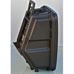 CASSA AMPLIFICATA ATTIVA 800W FULL-RANGE WOOFER 15" MONITOR PRO mod. COLOSIMI15
