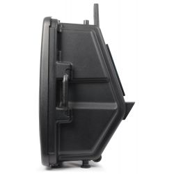 CASSA AMPLIFICATA ATTIVA 800W FULL-RANGE WOOFER 15" MONITOR PRO mod. COLOSIMI15