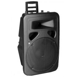 COPPIA CASSE AMPLIFICATE ATTIVE 1600W PROFESSIONALI 15" + 2 STATIVI + BORSA
