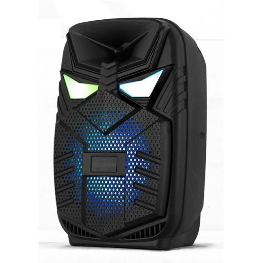 CASSA BLUETOOTH AMPLIFICATA PORTATILE 6,5" USB ALTOPARLANTE BATTERIE LED