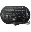MODULO AMPLIFICATORE SUBWOOFER INCASSO AUTO PANNELLO RICAMBIO CASSE ACUSTICHE BLUETOOTH