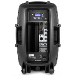 CASSA BLUETOOTH AMPLIFICATA PROFESSIONALE ALTOPARLANTE ATTIVO 15" 800W