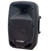 COPPIA CASSE ACUSTICHE PASSIVE FULL RANGE WOOFER 21 CM 8" ABS no amplificate