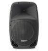 CASSA ACUSTICA AMPLIFICATA ATTIVA MONITOR SPIA DJ PALCO LIVE 12" (31 CM)