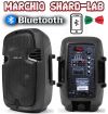 COPPIA CASSE AMPLIFICATE ATTIVE 600W 8" BLUETOOTH RADIO USB TROLLEY karaoke SHARD-LAB
