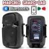 COPPIA CASSE AMPLIFICATE ATTIVE 600W 8" BLUETOOTH RADIO USB TROLLEY karaoke SHARD-LAB