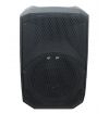 CASE BOX VUOTO CARCASSA CASSA AMPLIFICATA PASSIVA ABS 12" (senza componenti)