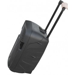 COPPIA CASSE AMPLIFICATE ATTIVE 900W 10" BLUETOOTH RADIO USB TROLLEY karaoke - 3