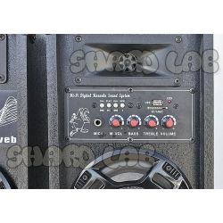 CASSE BLUETOOTH ATTIVE AMPLIFICATE KARAOKE + 2 MICROFONI WIRELESS impianto karaoke