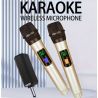 CASSE BLUETOOTH ATTIVE AMPLIFICATE KARAOKE + 2 MICROFONI WIRELESS impianto karaoke