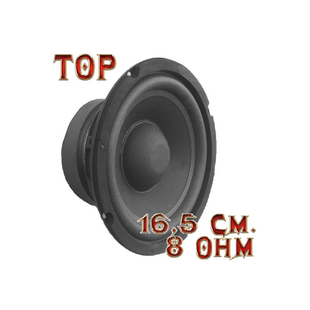 WOOFER 16,5 CM 8 Ohm 250W SUBWOOFER 6,5" POLLICI MAGNETE 11 Cm SOSP. MORBIDA