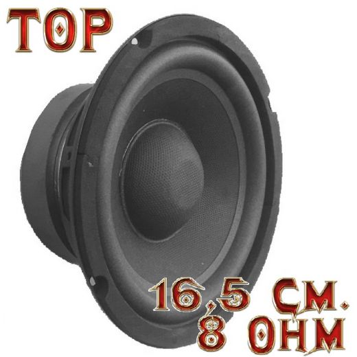 WOOFER 16,5 CM 8 Ohm 250W SUBWOOFER 6,5" POLLICI MAGNETE 11 Cm SOSP. MORBIDA