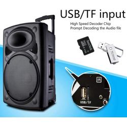 CASSA BLUETOOTH ALTOPARLANTE PORTATILE BATTERIE 12" LED USB/SD