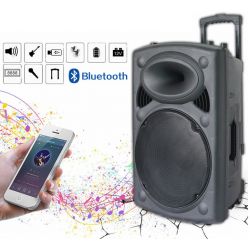 CASSA BLUETOOTH ALTOPARLANTE PORTATILE RICARICABILE BATTERIE 12" LED USB/SD 300w