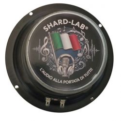 WOOFER 16,5 CM 165 mm 8 Ohm MIDRANGE 250w ALTOPARLANTE 6,5" POLLICI