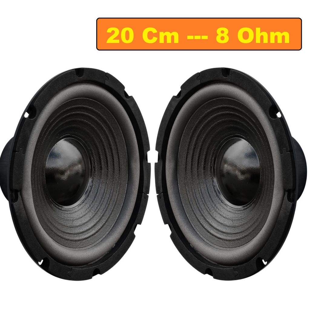 COPPIA WOOFER 20 CM 8 Ohm ALTOPARLANTE 8" POLLICI 300W CASSE ACUSTICHE