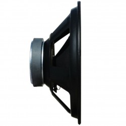 WOOFER 25 CM 8 Ohm 300w ALTOPARLANTE SOSP. MORBIDA 10" 26 CM CASSE ACUSTICHE