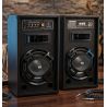 COPPIA CASSE AMPLIFICATE BLUETOOTH WOOFER 10" 26 Cm CON USB - LED