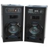 COPPIA CASSE AMPLIFICATE BLUETOOTH WOOFER 10" 26 Cm CON USB - LED