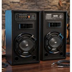 IMPIANTO AUDIO KARAOKE BLUETOOTH 2 casse amplificate 10" + mixer 4 ch + Cavetteria