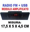 MODULO AMPLIFICATO CASSA ACUSTICA PANNELLO INCASSO RADIO + USB * 17,5 X 5 CM
