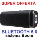 CASSA BLUETOOTH 5.0 ALTOPARLANTE PORTATILE BOOM CON RADIO FM