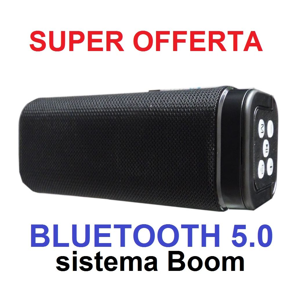 CASSA BLUETOOTH 5.0 ALTOPARLANTE PORTATILE BOOM CON RADIO FM