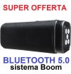 CASSA BLUETOOTH 5.0 ALTOPARLANTE PORTATILE BOOM CON RADIO FM