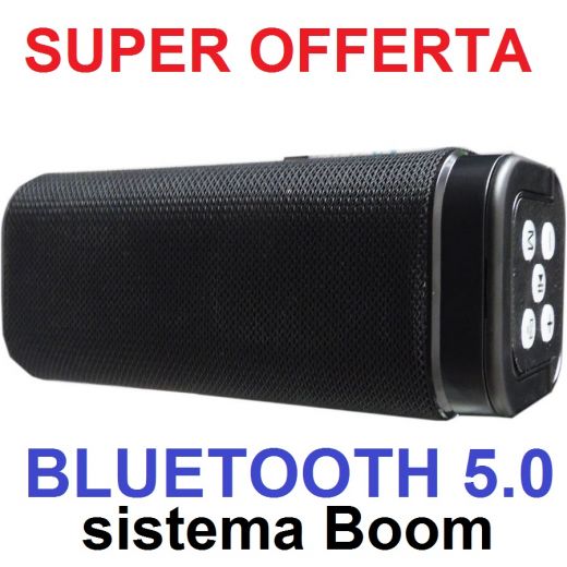 CASSA BLUETOOTH 5.0 ALTOPARLANTE PORTATILE BOOM CON RADIO FM