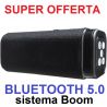 CASSA BLUETOOTH 5.0 ALTOPARLANTE PORTATILE BOOM CON RADIO FM